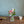 【花束】歓送迎会、卒業式におすすめ 季節の花で作るミニブーケセット ＜カラーお任せ４色＞