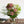 【お中元】季節の花束「ルージュペシェ」M ＜スモーキーピンク＆グリーン＞ サマーギフト2023【おしゃれな夏の花束】