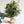 【お中元】季節の花束「アメジストグリーン」M ＜パープル＆グリーン＞ サマーギフト2023 【おしゃれな夏の花束】