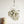 ティランジア キセログラフィカ お手入れ簡単吊るして飾れるエアプランツ【おしゃれな 観葉植物】