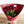 【花束】12本の赤いバラだけで作った花束 Mサイズ【おしゃれなブーケ】