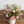 シャビーシックピンク Mサイズ 桜と春いっぱいのアレンジメント【ホワイトデーのフラワーギフト】