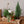 お部屋で育てるクリスマスアソート “ブルージュの森”（M）「birch berry」 幅38cm × 高さ38cm 【クリスマスギフト2023】