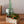 お部屋で育てるクリスマスアソート  “ブルージュの森”（S）「birch berry」 幅18cm × 高さ38cm【クリスマスギフト2023】