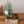 お部屋で育てるクリスマスアソート  “ブルージュの森”（S）「birch berry」 幅18cm × 高さ38cm【クリスマスギフト2023】