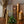プリザーブドフラワーアレンジメント「アンティーク ノエル」 M 幅11.5cm × 高さ12cm 【Xmas2022】
